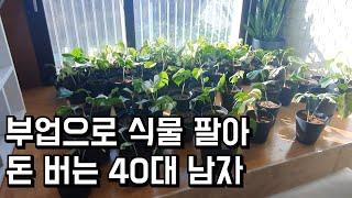 식물 재테크해서 돈 버는 40대 남자