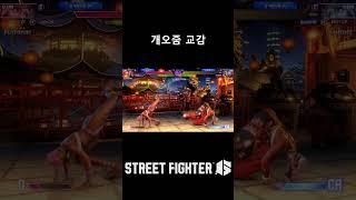 개오줌 교감