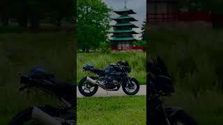 Who wants to see some camping mt-10 videos ???? #yamaha #bikeride