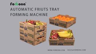 forbona automatic fruits tray forming Machine