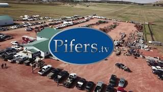 Pifer's Equipment Auction Summary 2019