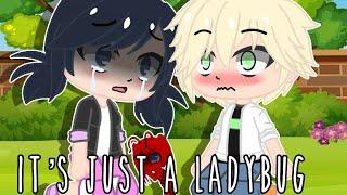 It’s just a ladybug meme || part 2? || enjoy! 