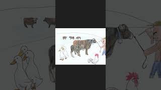 도도한 친구들과 함께 부르는 영어동요 그림 - 얼룩송아지 #shorts