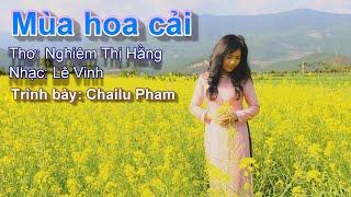 Mùa Hoa Cải - Chailu Pham