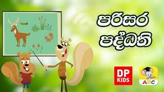 පරිසර පද්ධති | Professor Squirrel   Nutly Ecosystems