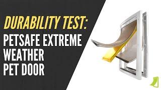 Durability Test & Review: Petsafe Extreme Weather Pet Door