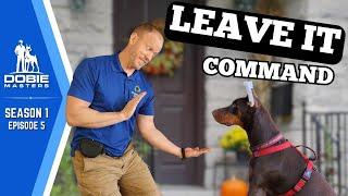 Training "Leave It" to Cleo the Doberman | Dobie Masters - S1E5