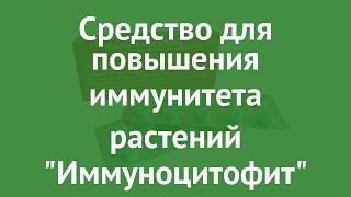 Средство для повышения иммунитета растений Иммуноцитофит обзор 01-025