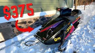 I Bought a Snowmobile! |Yamaha Phazer|