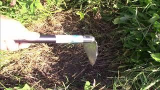 CLOVER Cover Crop Removal Improve your Garden Soil