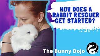 THE LEGEND OF THE BUN HATTER: Inspiration
