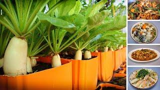 How to grow white radish in plastic pots from seed to harvest | Radish recipes