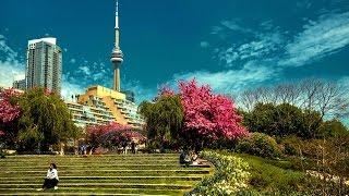 ТВ. Центральная набережная в Торонто (Harbourfront)