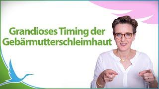 Das grandiose Timing der Gebärmutterschleimhaut für Dein Wunschkind!  (Dr. med. Heidi Gößlinghoff)