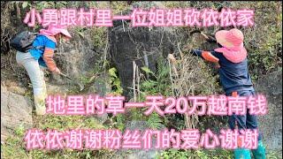 农村工作小勇干活一天20万 别人家地都种完了依依家刚砍草真的好害羞2-3-2023