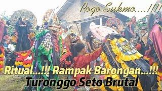 Full Rampak Barongan... ||Full Mbekes... Masall... ||Turonggo Seto Brutal.