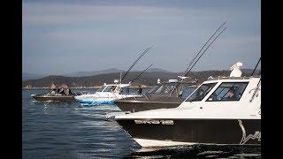 Australian-built Whitepointer fibreglass boats