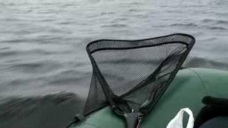 анонс Приключения рыбака и охотника