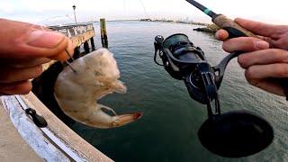 East River Fishing. Red Hook Brooklyn NYC