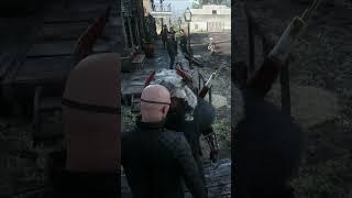 Trolling Red Dead RP players
