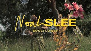 Noah Slee - Soulflower (Official Video)