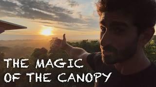 THE MAGIC OF THE CANOPY