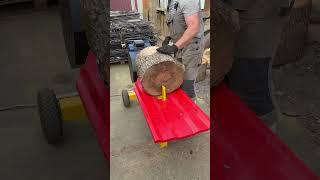 Ultimate Rack Log Splitter Test! #дровокол #wirliebenholz #woodworking