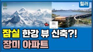 잠실 장미아파트 송파 한강변 신축으로?! / 넘어야 할 산이..