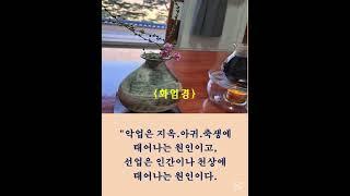 #화엄경# #김이현 定慧#禪어록,#참선 ,#선불교,#간화선 ,#명상,#수행,#수행#자신과의 만남,