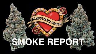 School Yard Crush Smoke Report