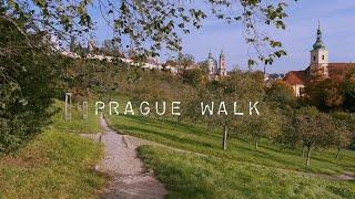 A Beautiful Autumn Walk in Prague - Petřin Hill - Relaxing Fall Nature Ambiance ASMR 4k HDR