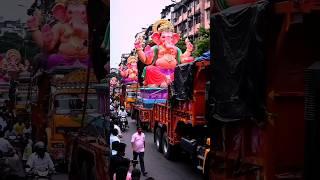 ganpati bappa road show️ #ganesh #ganpatibappamorya #GaneshChuturthi #ganpati #bappa #shorts