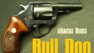 Charter Arms Bull Dog 44 Special