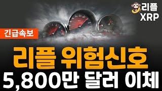 ※긴급속보※ 리플 XRP 5800만 달러 이체