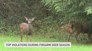 Michigan DNR shares top violations during firearm deer season