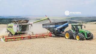 BIG HARVEST 2020 / 4 - 23 Claas Lexion 770 & 780 Combines  & John Deere 8R & Kinze 1051 Grain Carts