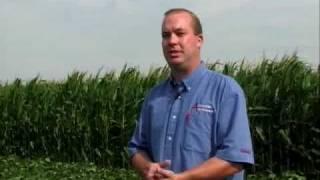 Advanced Agri-Solutions Crop Specialists