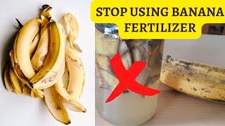 BANANA PEEL FERTILIZER - HARMFUL EFFECTS ON PLANTS