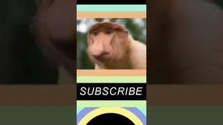 Timing clock ️ #bump [adult swim]