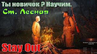 ⭐Stay Out⭐Сталкер-Онлайн Ты Новичок ? Научим . Ст Лесная .