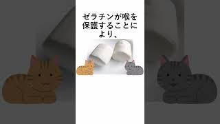 【雑学】マシュマロを食べると意外な効果が