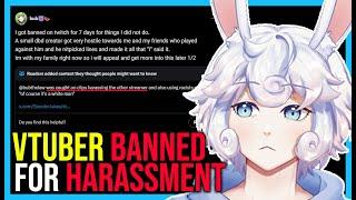 "You Only Have 18 Viewers..." | Vtuber Berates Small Streamer, Lies and Gets Called Out