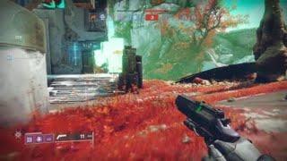 Destiny 2_First Time - COLLAT