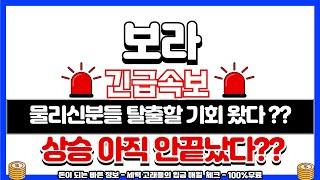 [보라 코인]긴급이제서야 왔습니다 아직 안끝났습니다#보라 #보라코인 #보라코인호재 #보라코인분석 #보라코인전망 #보라전망 #보라코인전망