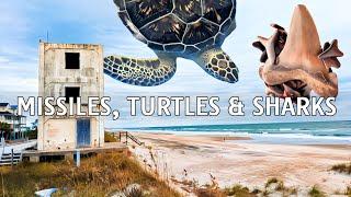 NORTH CAROLINA: Topsail Island and Surf City - Hidden Gems in North Carolina | Sea Turtles Hospital