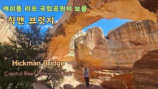 미국 서부에서 창조주의 걸작품을 마주하다 힉맨 브릿지 Hickman Bridge Capitol Reef National Park