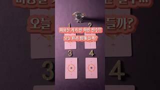 미용실 가기 전 확인 필수#미용실#타로