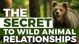 The Secret To a Relationship with a Wild Animal | Steve Karlin