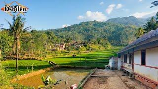 Sore yang indah di desa Jawa barat, suasana tenang dan asri, pedesaan indonesia