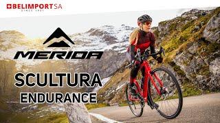 MERIDA SCULTURA ENDURANCE | road bike | Belimport.ch